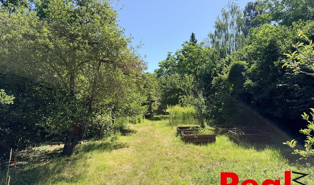 Prodej zahrady 2 459 m², Brno – náhled fotky 3
