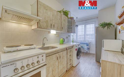 Pronájem bytu 1+1 41 m², Železničářská, Plzeň - Doubravka