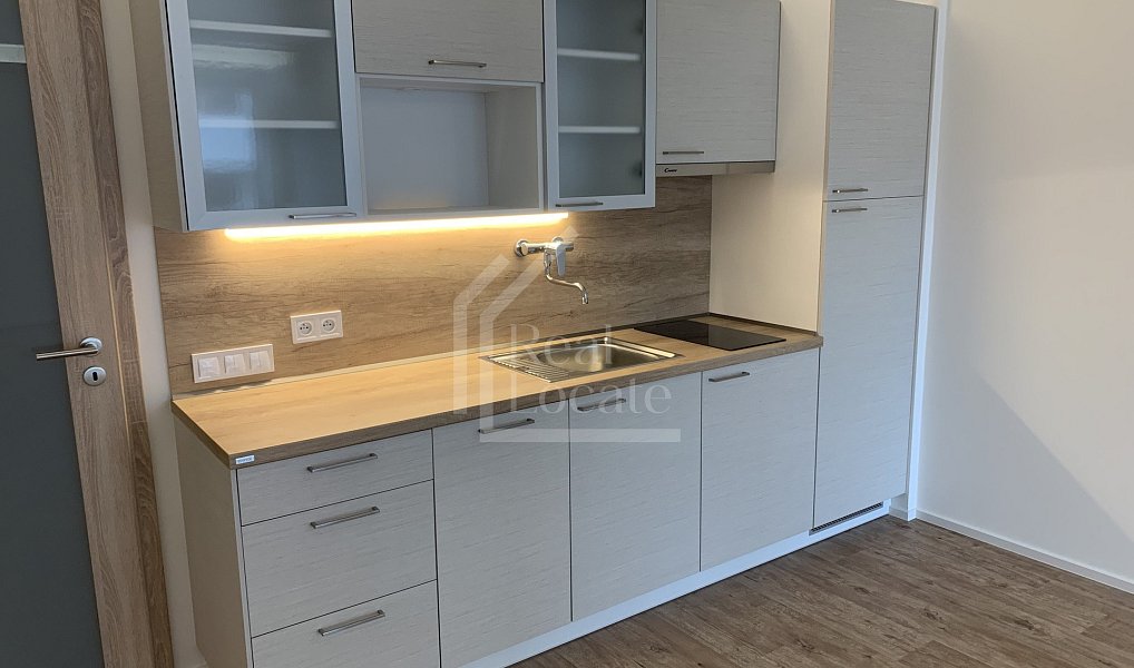 Pronájem bytu 1+kk 33 m², Praha – náhled fotky 3