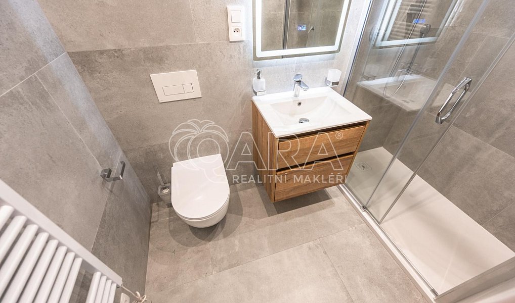Pronájem bytu 2+kk 50 m², Praha – náhled fotky 13