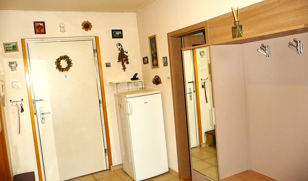 Prodej bytu 1+1 44 m², Praha – náhled fotky 6
