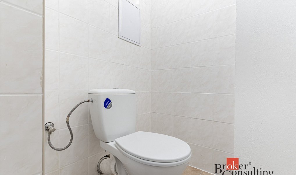 Pronájem bytu 3+kk 68 m², Mlékojedy – náhled fotky 6