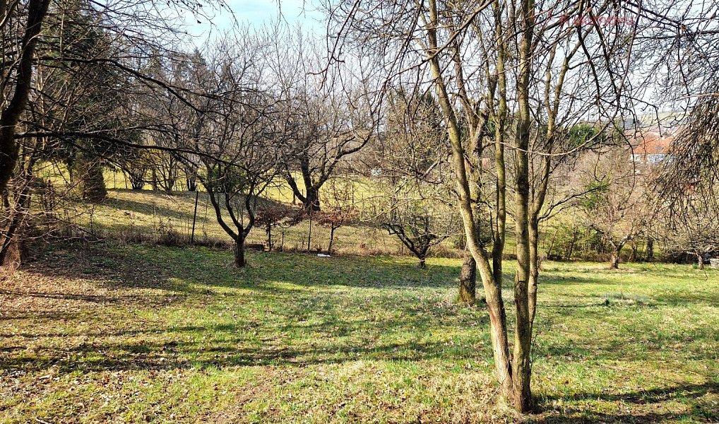 Prodej stavebního pozemku 2 619 m², Záhorovice – náhled fotky 10