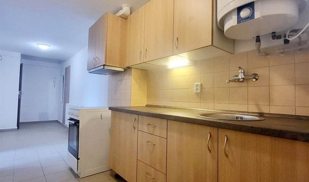 Pronájem bytu 2+1 43 m², České Budějovice – fotka 1 z 9