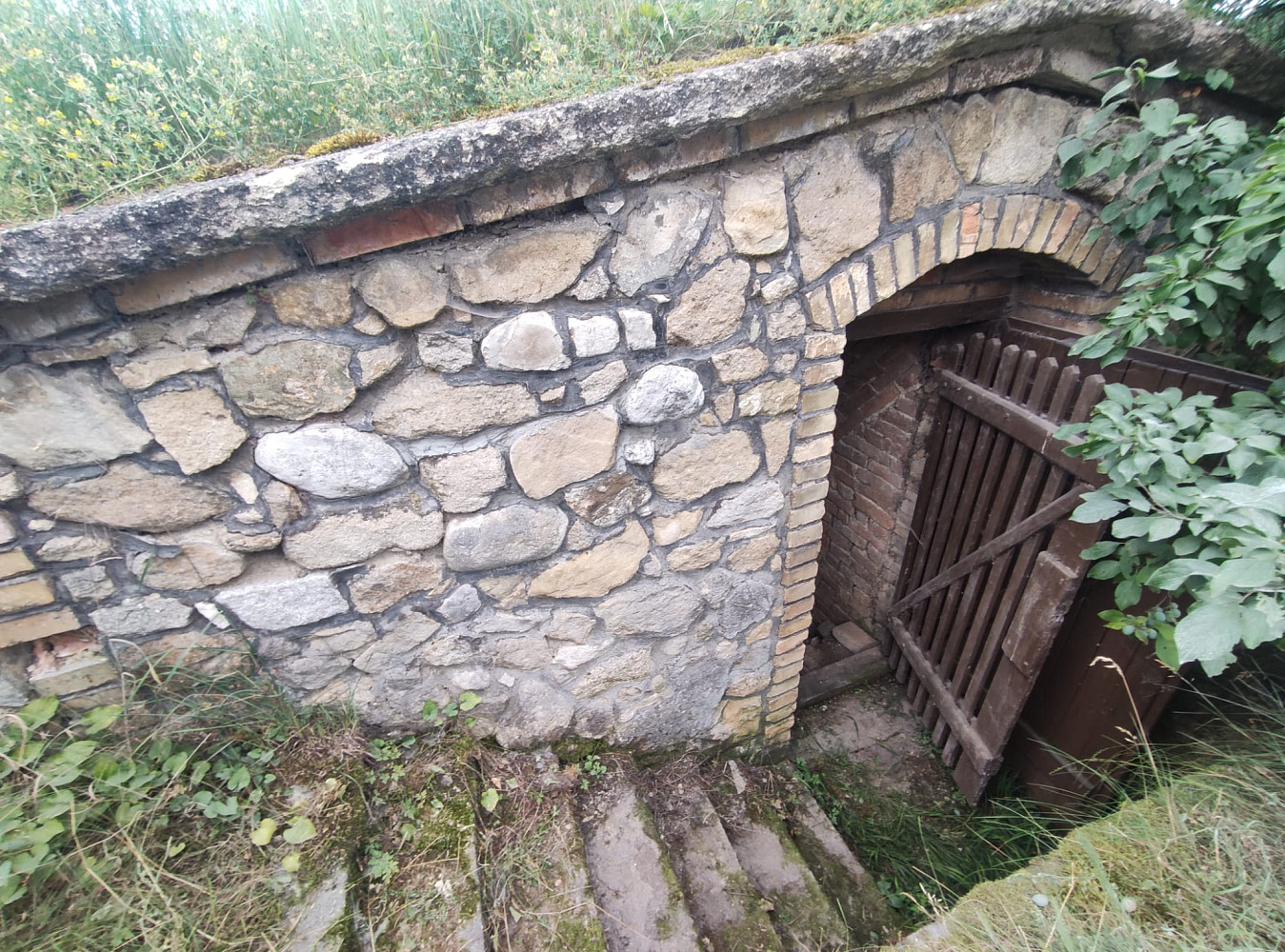 Prodej vinného sklepa 14 m² vrbice, okres břeclav — photo 2