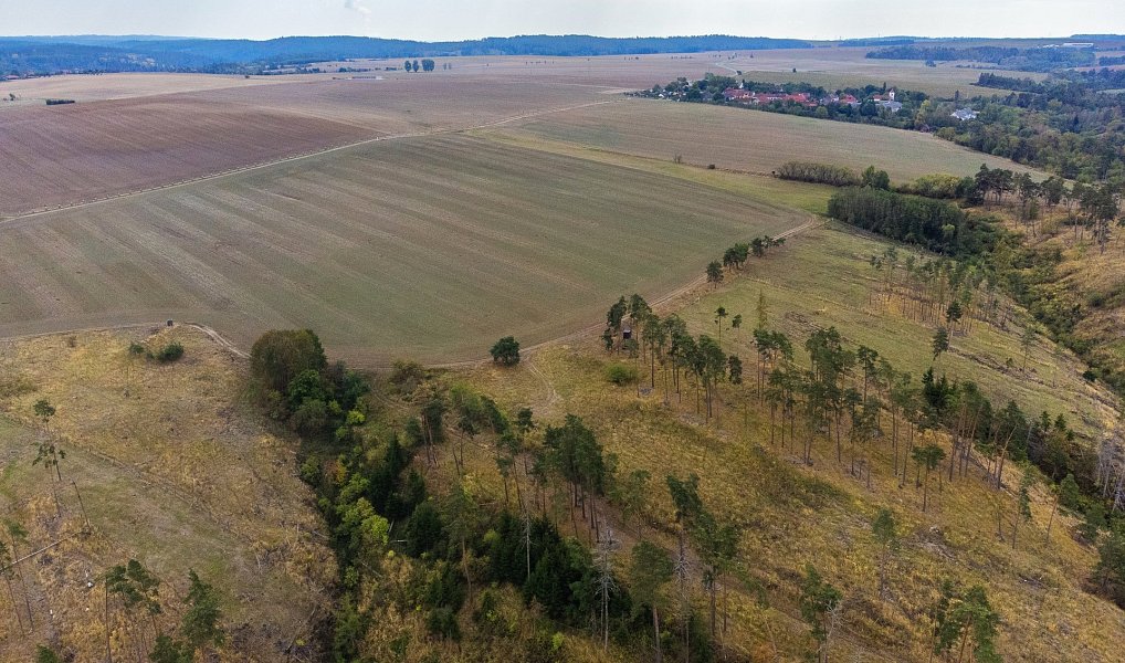 Prodej lesa 15 246 m², Vladislav – náhled fotky 8