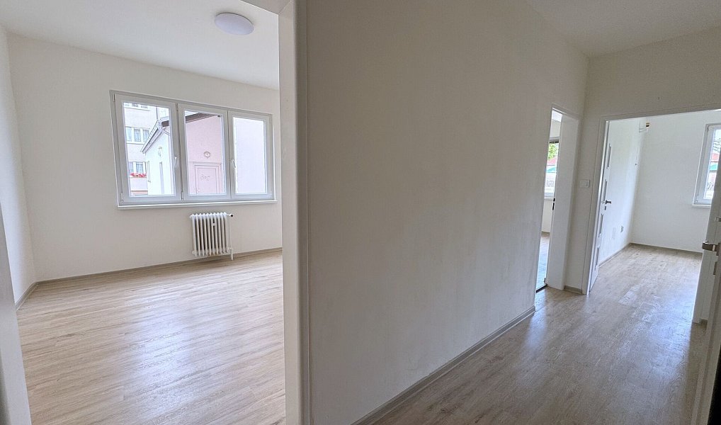Pronájem bytu 2+1 56 m², Ostrov – náhled fotky 10