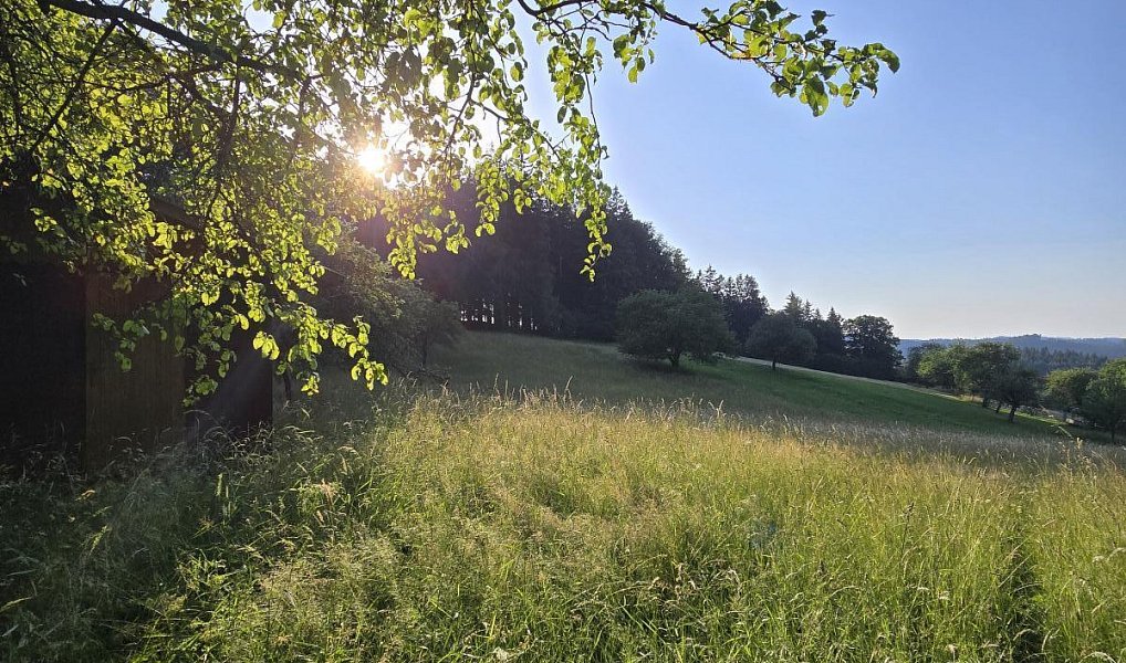 Prodej domu 138 m² s pozemkem 5 893 m², Prlov – náhled fotky 27