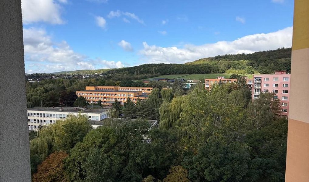 Pronájem bytu 1+1 43 m², Chomutov – náhled fotky 5