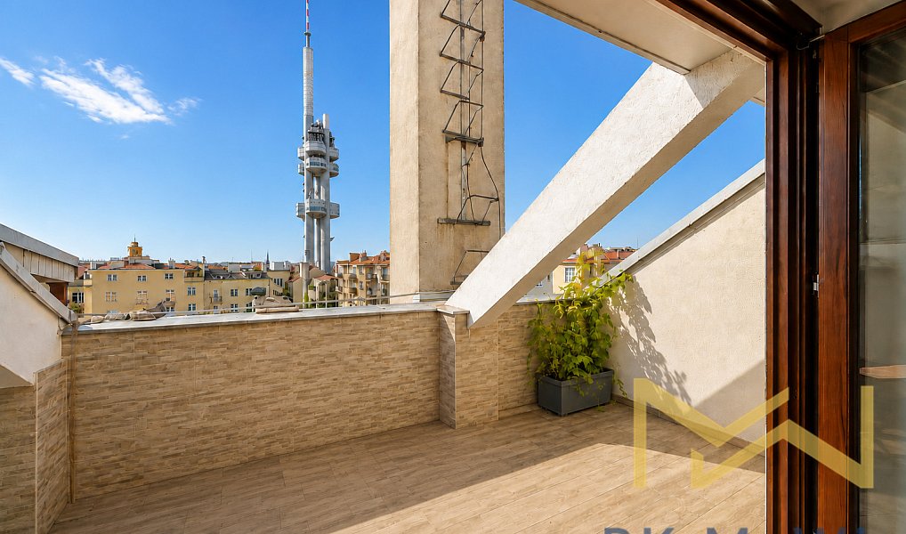 Pronájem bytu 4+kk 150 m², Praha – náhled fotky 5