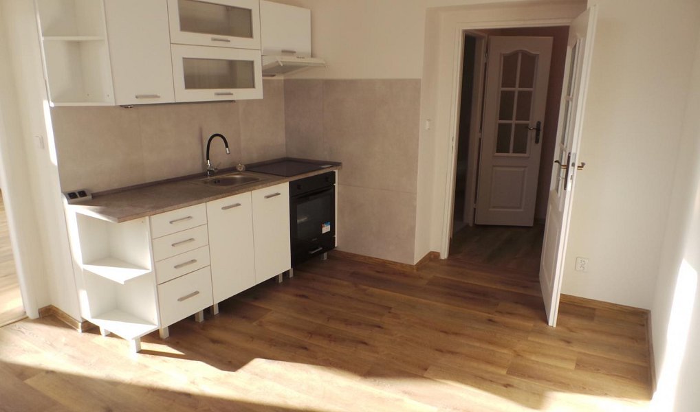 Pronájem bytu 2+1 47 m², Litvínov – náhled fotky 5