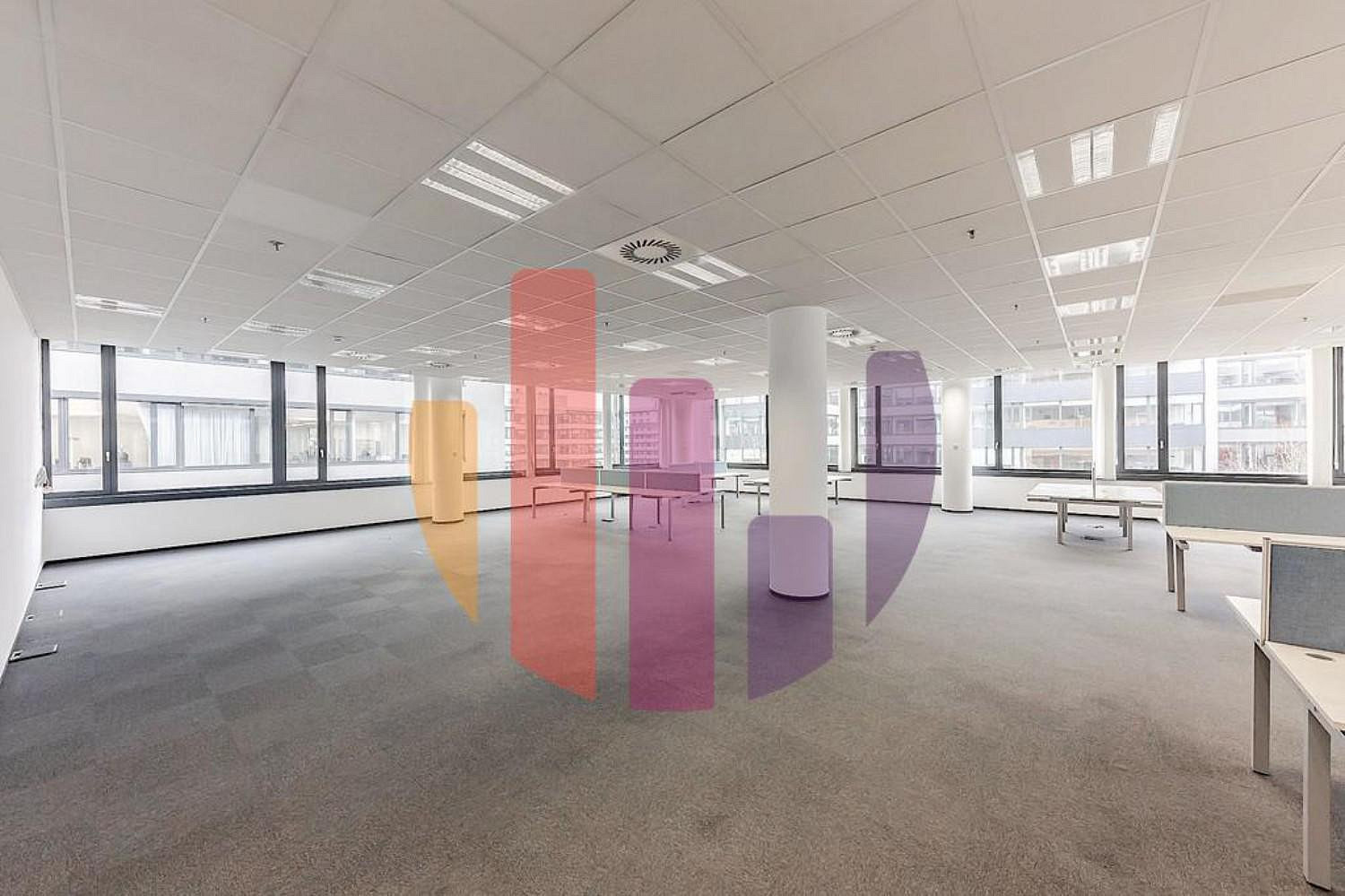 Pronájem kanceláře 550 m² — photo 3
