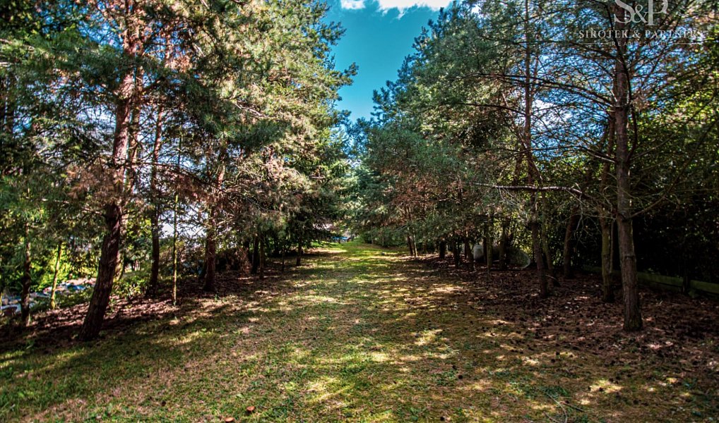 Prodej domu 350 m² s pozemkem 3 430 m², Kolešov – náhled fotky 42