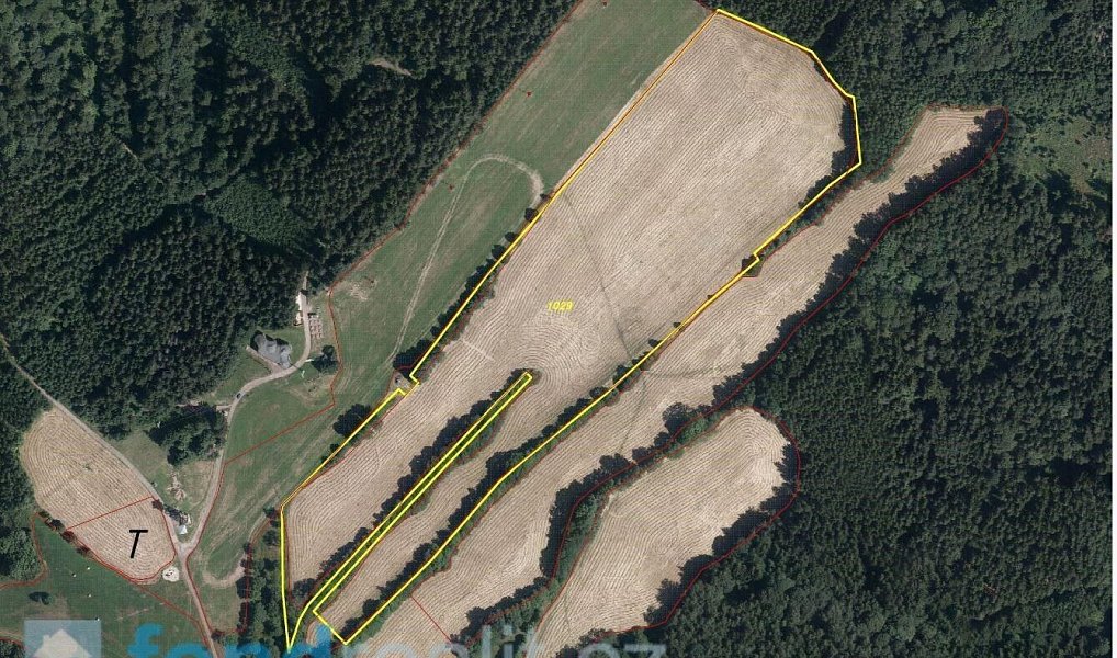 Prodej pozemku 65 466 m², Trutnov – náhled fotky 6