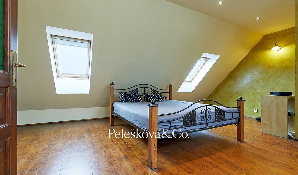 Pronájem bytu 4+kk 177 m², Praha – náhled fotky 10