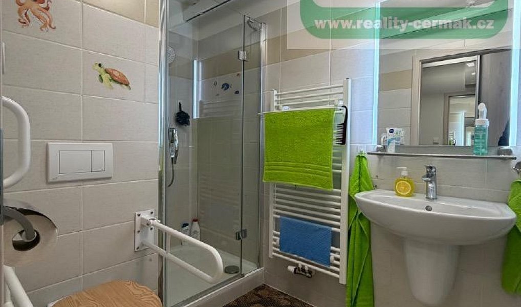 Prodej bytu 1+kk 36 m², Plzeň – náhled fotky 6