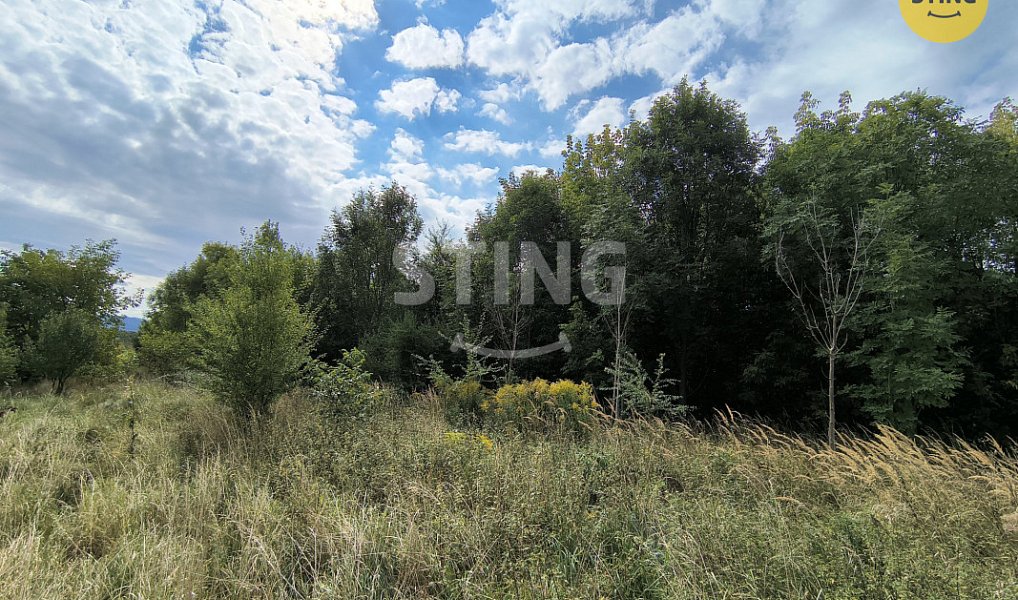 Prodej stavebního pozemku 2 800 m², Třinec – náhled fotky 9