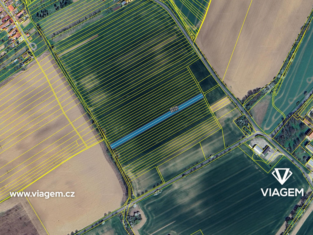 Prodej pole 890 m² – fotografie 4