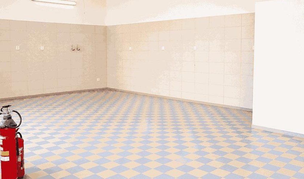 Pronájem skladovacích prostor 70 m², Orlová – náhled fotky 3