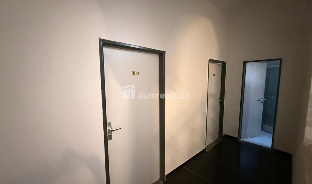 Pronájem bytu 1+kk 35 m², Mariánské Lázně – náhled fotky 6