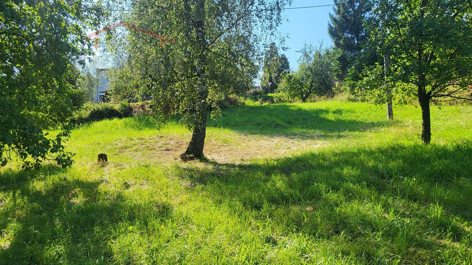 Fotka 6 z 14
