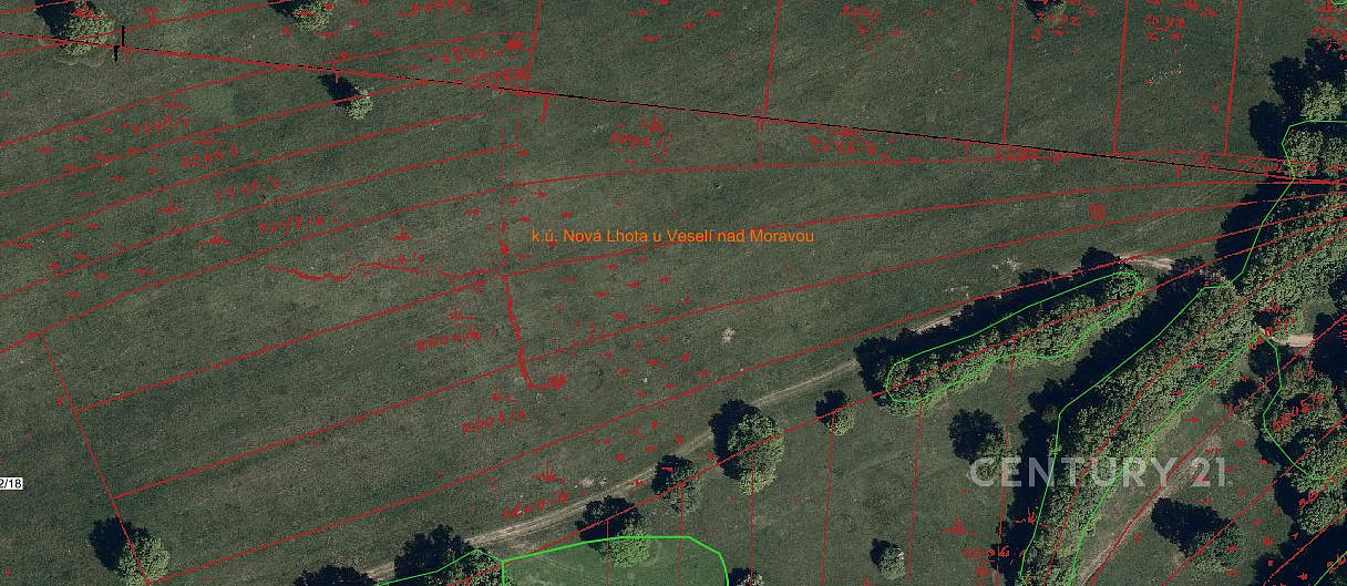 Fotka 13 z 15