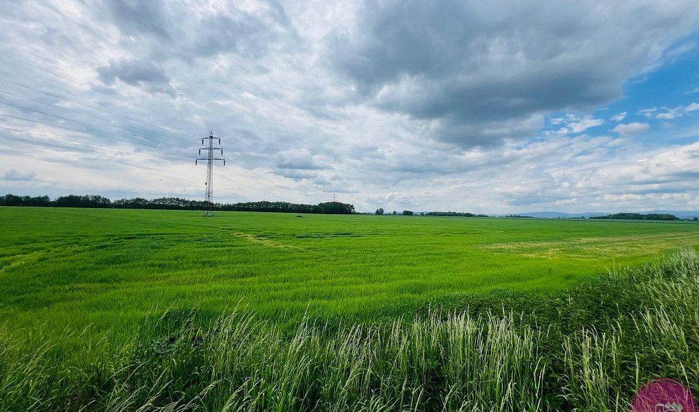Prodej komerčního pozemku 29 280 m², Liboš – náhled fotky 7