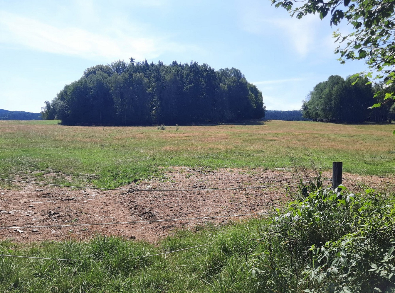 Prodej lesa 9 975 m² – fotografie 2