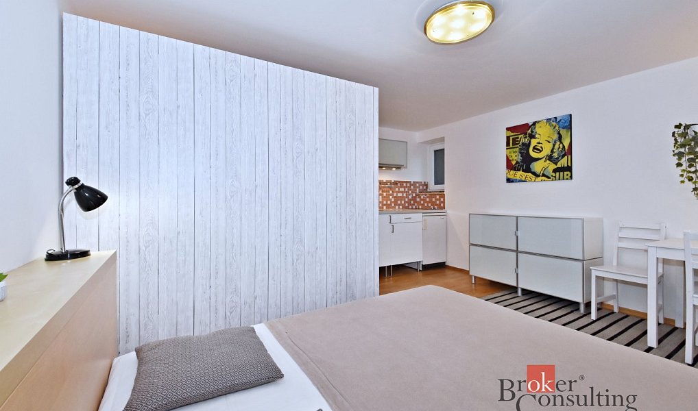 Pronájem bytu 1+kk 25 m², Praha – náhled fotky 3