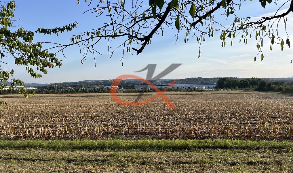 Prodej pole 4 766 m², Lešná – náhled fotky 6