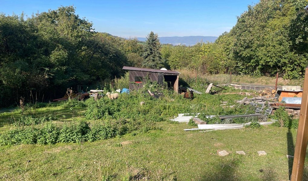Prodej zahrady 2 626 m², Kostomlaty pod Milešovkou – náhled fotky 8