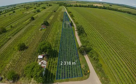 Prodej pozemku 2 318 m², Prušánky
