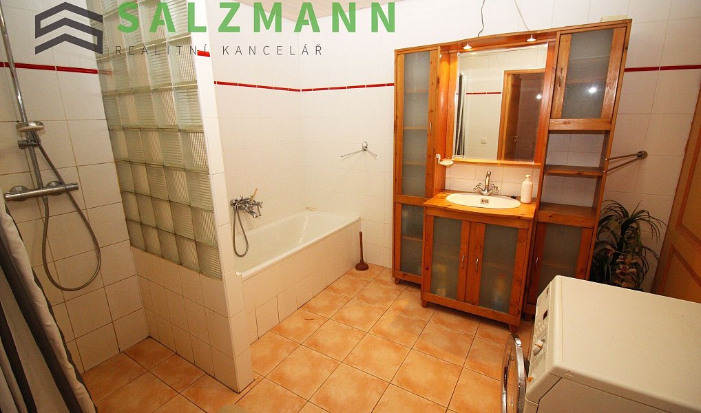 Prodej domu 220 m² s pozemkem 909 m², Hostouň – náhled fotky 15
