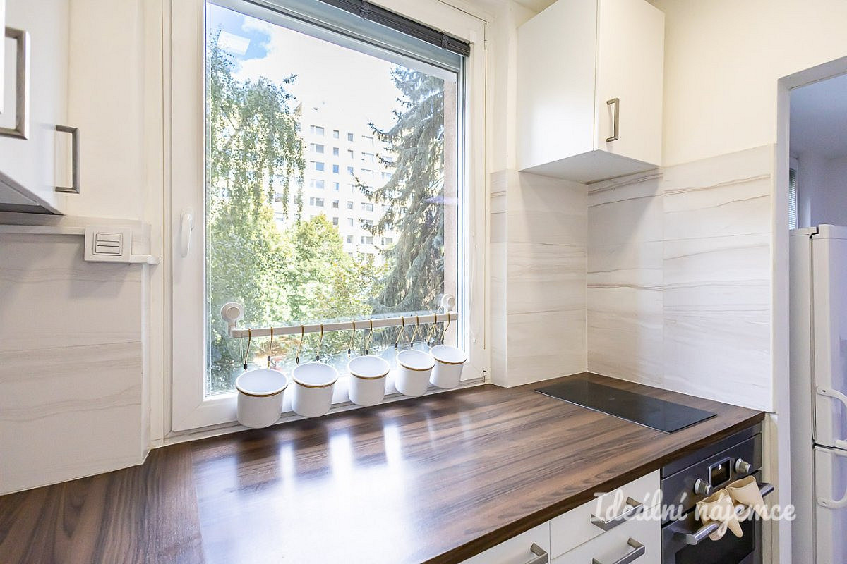 Pronájem bytu 1+1 31 m² – fotografie 4