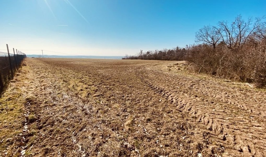 Prodej zahrady 7 000 m², Dobšice – náhled fotky 4