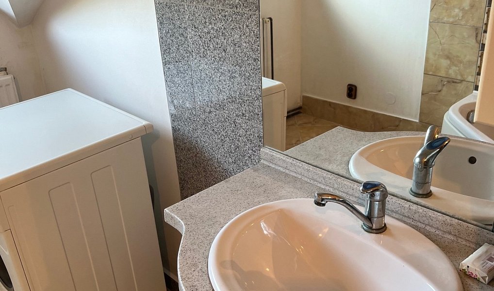 Pronájem bytu 1+kk 42 m², Holubice – náhled fotky 4