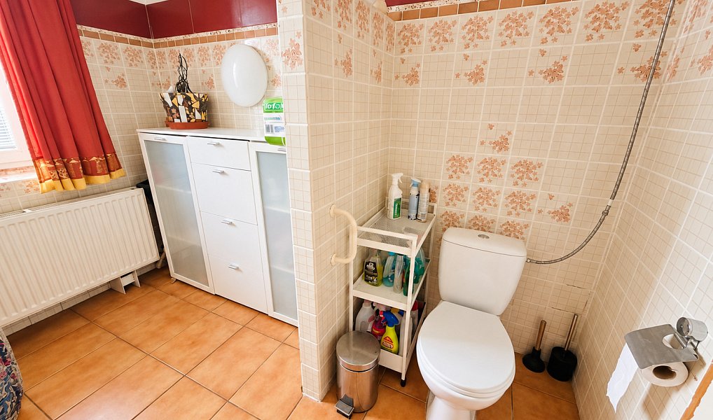 Prodej domu 220 m² s pozemkem 1 017 m², Starý Jičín – náhled fotky 22