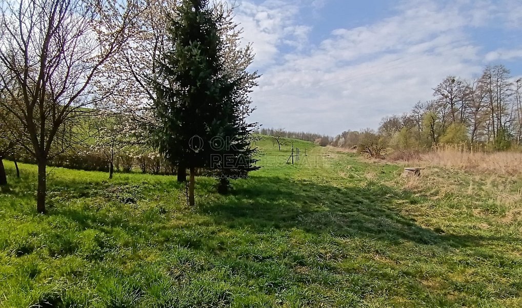 Prodej zahrady 1 872 m², Soběchleby – náhled fotky 20