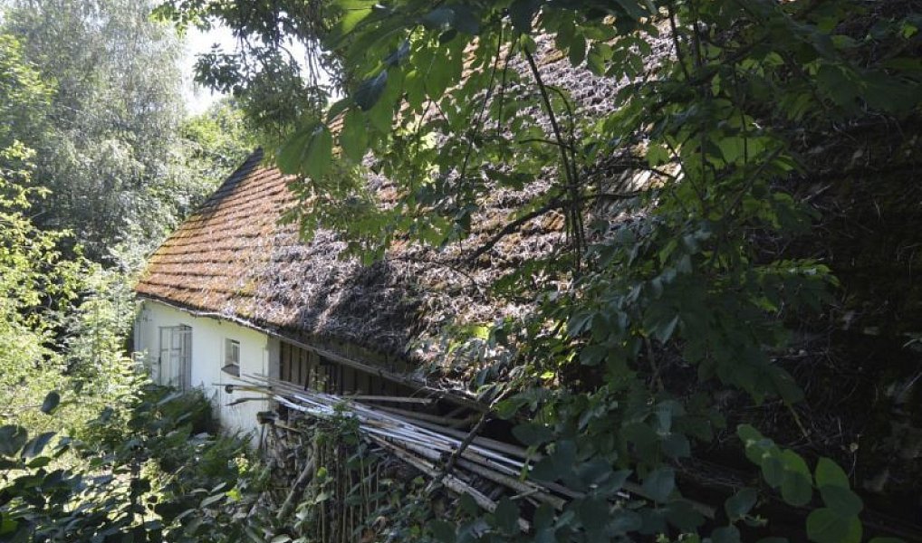 Prodej chaty/chalupy 120 m² s pozemkem 4 183 m², Horní Brusnice – náhled fotky 7