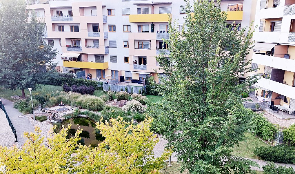 Pronájem bytu 2+kk 53 m², Brno – náhled fotky 6