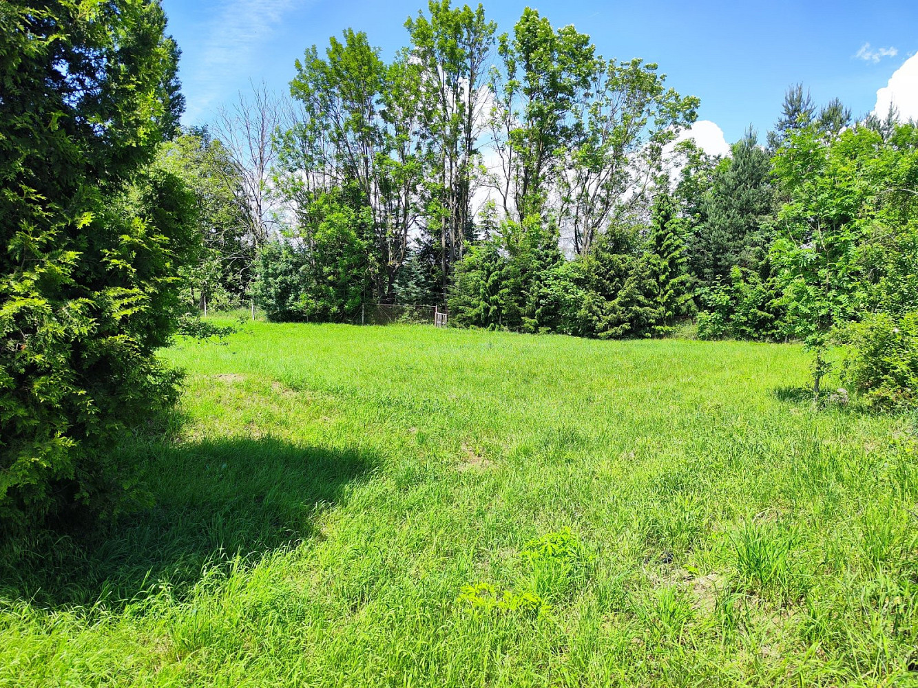 Prodej stavebního pozemku 1 655 m² – fotografie 4