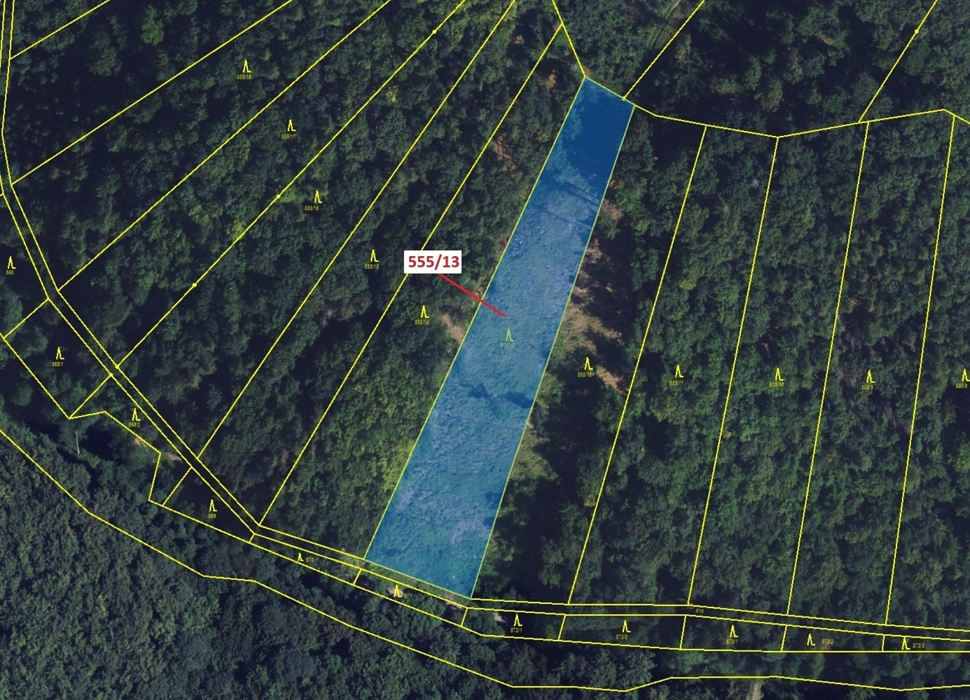 Dražba lesa 5 798 m² – pohled 2