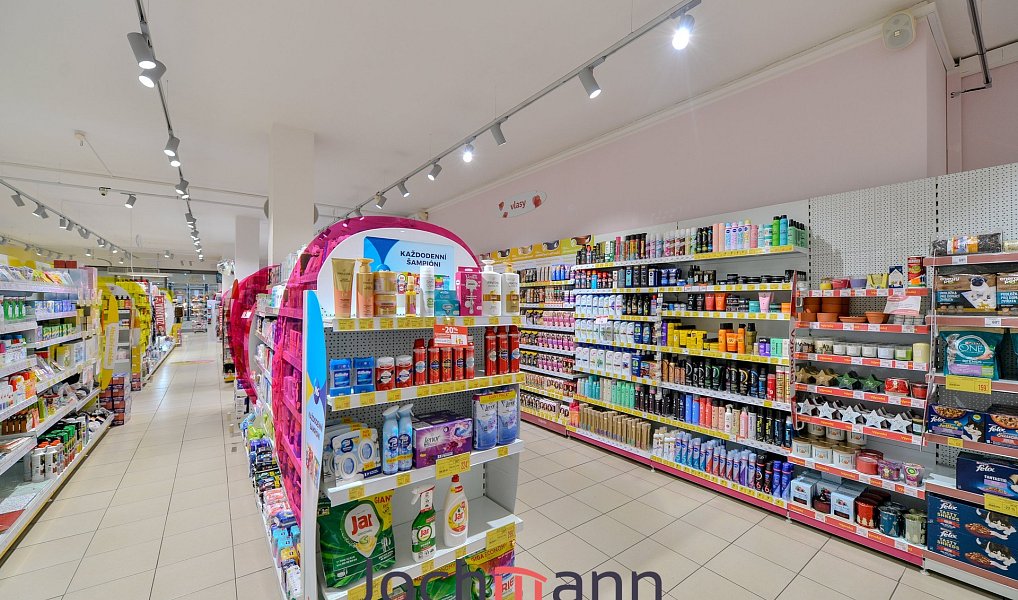 Pronájem obchodních prostor 340 m², České Budějovice – náhled fotky 17