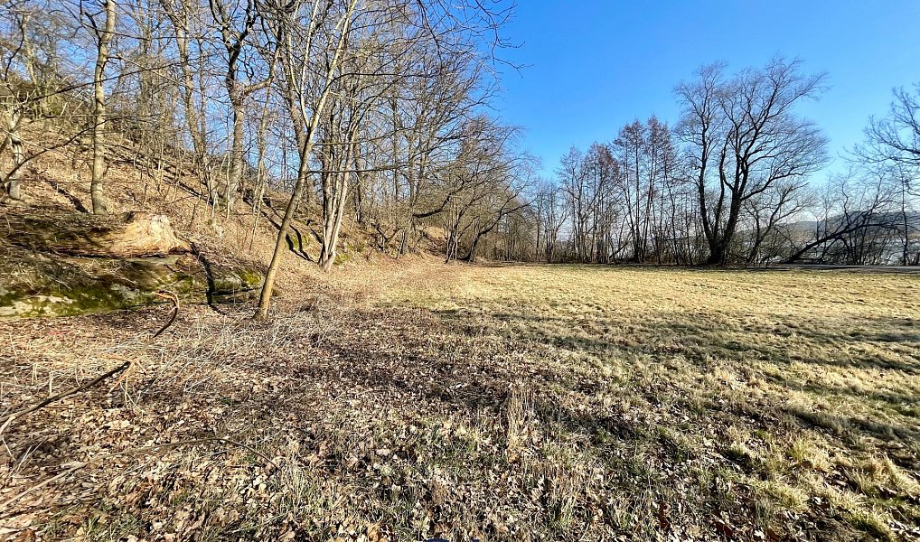 Prodej zahrady 2 324 m², Zahrádky – náhled fotky 7