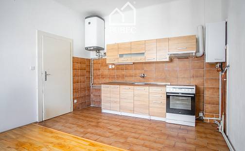 Prodej bytu 2+1 80 m², Pařížská, Plzeň - Východní Předměstí