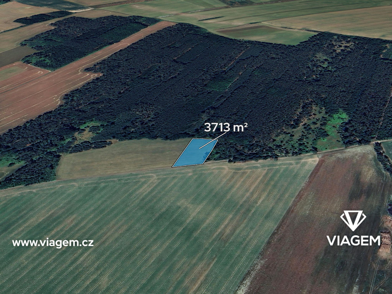 Prodej pole 3 713 m²