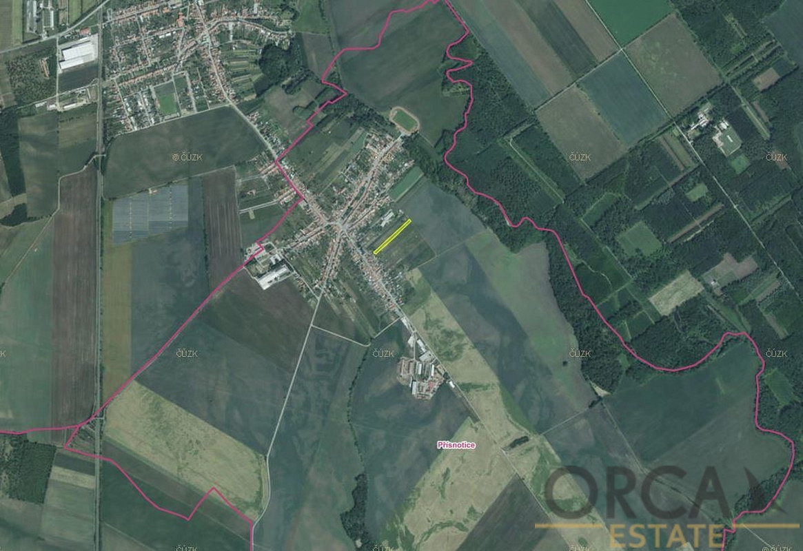 Prodej podílu 2.773 m² na pozemku v k. ú. Přísnotice – pohled 2