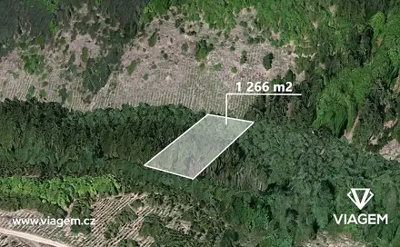 Prodej lesa 844 m², Řendějov, okres Kutná Hora