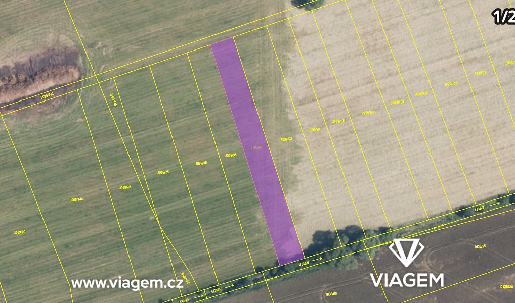 Prodej pole 2 706 m², Zábřeh – náhled fotky 12