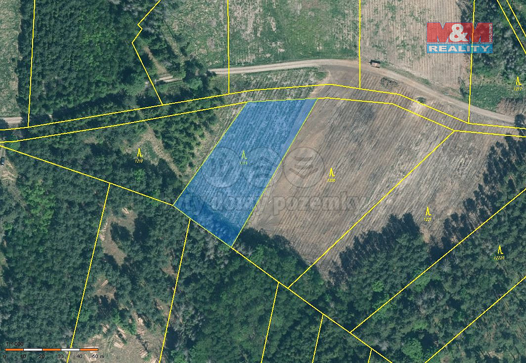 Prodej lesa 15 115 m² – fotografie 2
